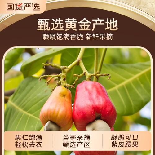 山味情带皮腰果仁紫皮腰果
