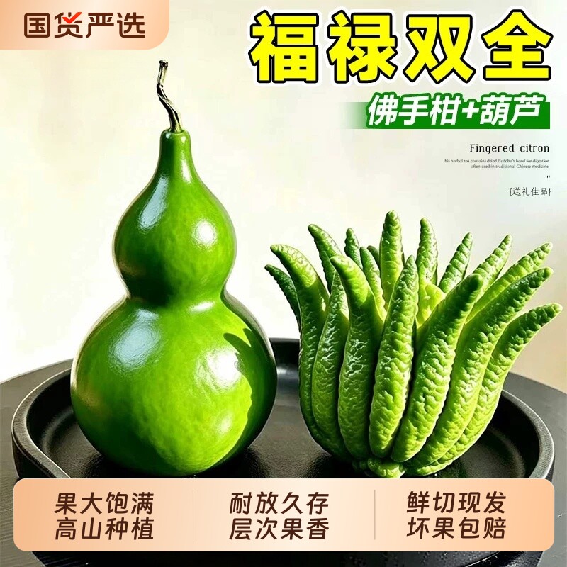 福禄双全佛手柑鲜果翡翠葫芦天然摆件室内办公室水养绿植观赏植物