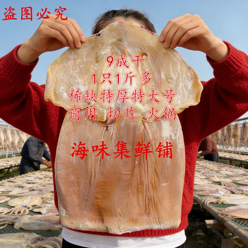 特厚大号野生淡晒无须鱿鱼干