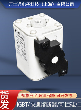 熔断器170M4951/4952/4953/4954/4955/4956/4957/4958/4959/4960