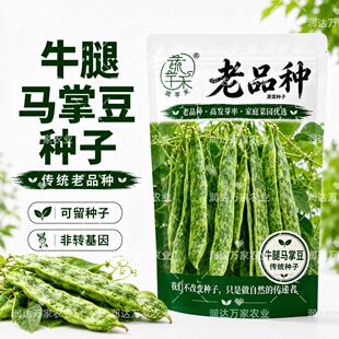 牛腿马掌豆角种子老品种可留种子非转基因东北大马掌架油豆角籽