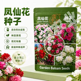 观赏凤仙花种籽庭院盆栽地栽凤仙多色指甲花急性子桃红金凤花