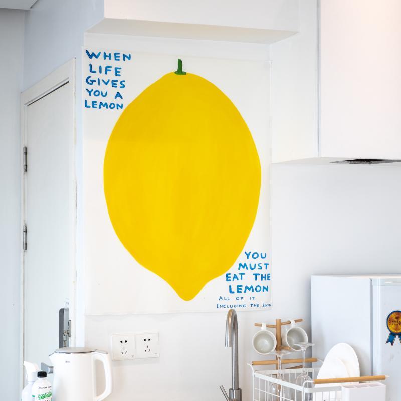 彩味家给你柠檬当生活文高端水果装饰布墙布挂布大