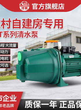 广东凌霄变频水泵JET150家用自吸泵喷射泵水塔抽水机井水抽水泵