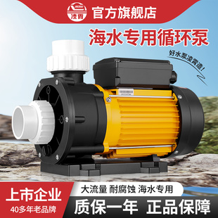 广东凌霄TDA海水泵养鱼泵塑料泵鱼池海鲜池泵耐腐蚀泳池SPA循环泵