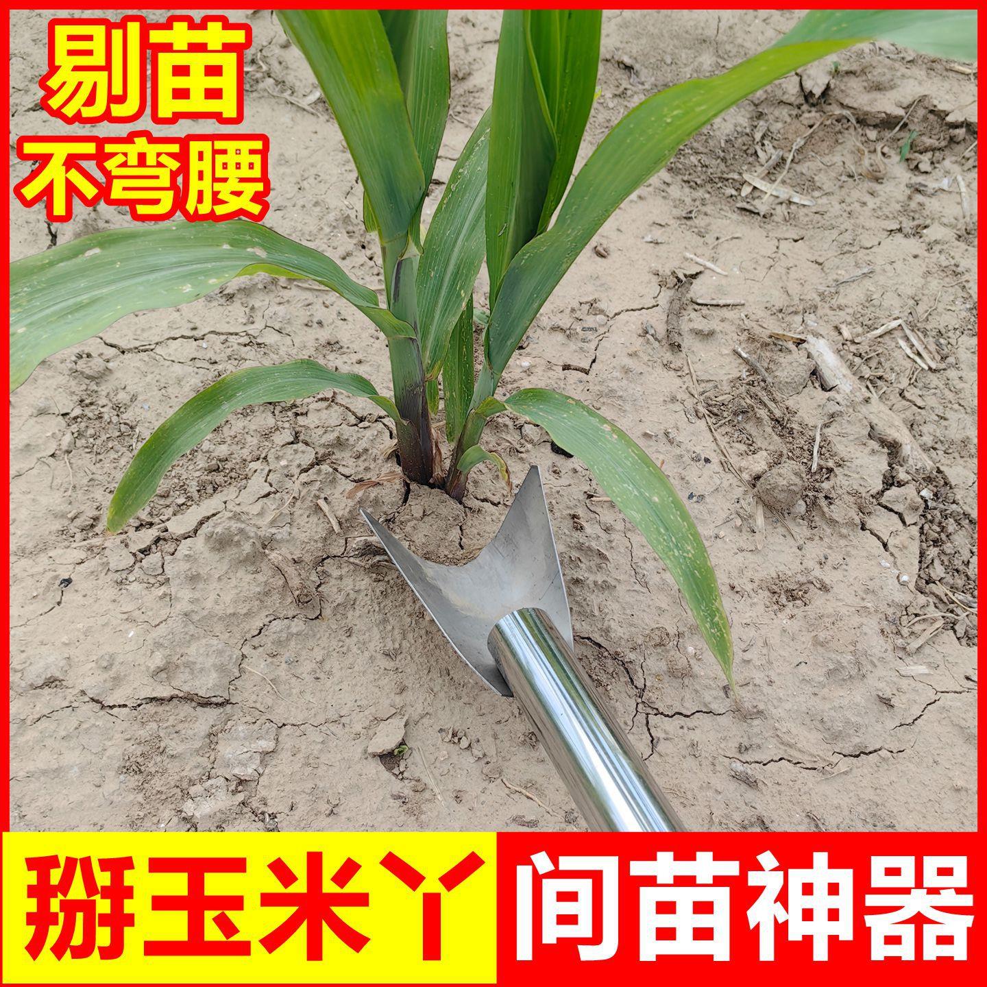 间苗神器掰玉米丫苞米疏菜剔苗农用工具高粱铲土薅苗除草间苗器