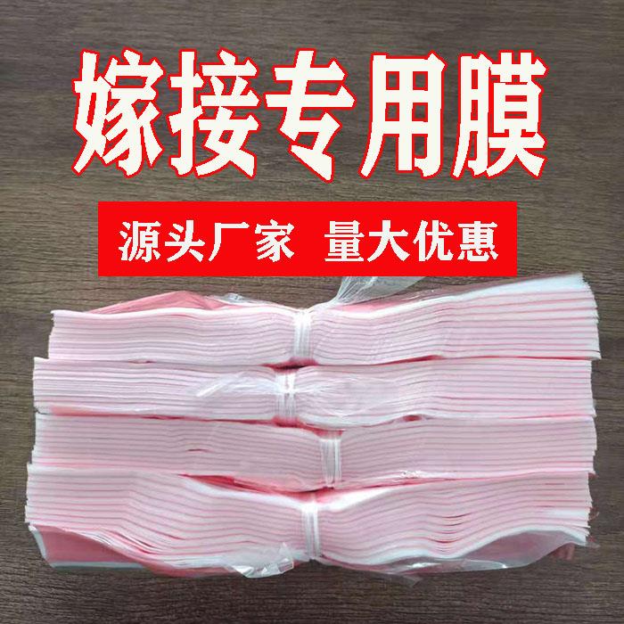 【5捆装】果树嫁接膜 绑带 缠绕膜 塑料布嫁接专用膜 树苗嫁接带