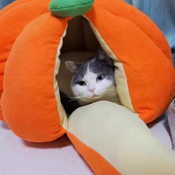 猫咪窝半封闭式安全感南瓜猫窝