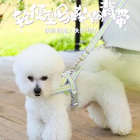 馬鞍式胸背帶防爆沖不勒脖狗鏈子