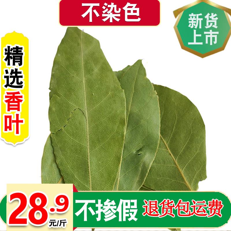 新货纯正香叶天然月桂叶火