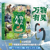 精装 版 纸上纪录片真实动物事件改编 爱与成长献给热爱世界 万物有灵绘本 丁雪著动物教会我们 孩子150余幅精美绘图 抖音同款