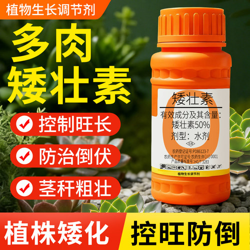 【多肉3天促矮化】爆芽增色