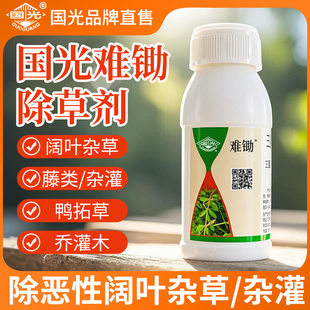国光难锄除草剂马尼拉黑麦草禾本科草坪除地锦蒲公英恶性阔叶杂草