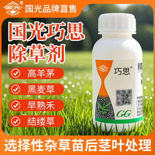国光巧思精恶唑禾草灵黑麦草高羊茅结缕草除禾本科尖叶杂草除草剂
