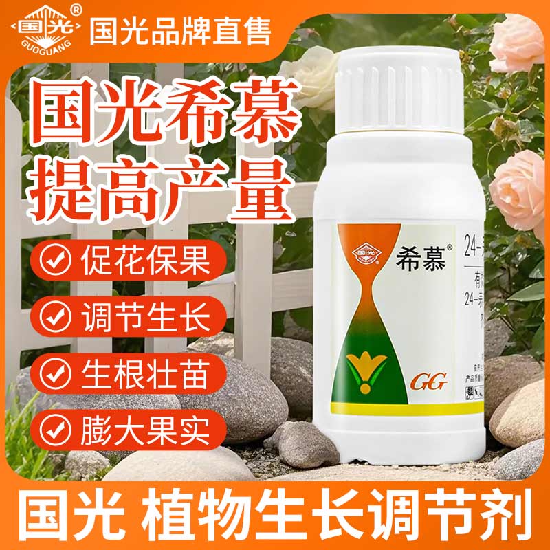 國光希慕蕓苔素內(nèi)脂24表高促生根壯苗劑?；ū９麡渲参锶~面肥農(nóng)藥