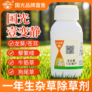国光壹变静乙氧氟草醚苗果尔圃大蒜松柏杉树叶林业杂草封闭除草剂