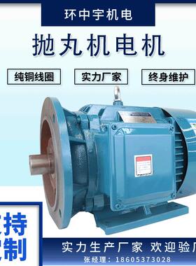 抛丸头电机抛丸机Y2160L-2/18.5W电动机大功率变频节能高效