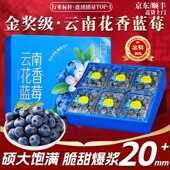 顺丰多地次日达 云南蓝莓 京东 新鲜高山蓝莓L25品种时令水果