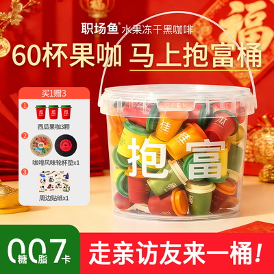 【分享装】水果冻干黑咖啡