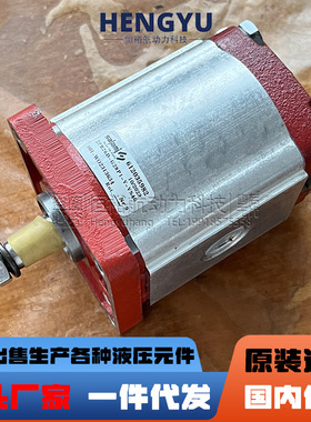 萨拉米油泵SALAMI齿轮泵2PE26D-P28P1-V-VS40 2PE6.5D-P28液压泵