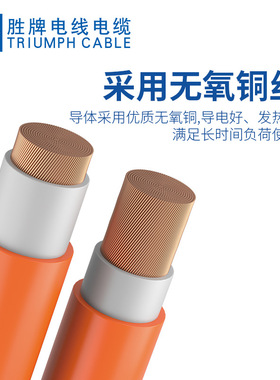 胜牌 EV汽车充电橙色多股柔软焊机线 RVV 10-240平方双护套火牛线