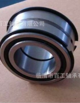 满装圆柱滚子轴承SL04 NNF 50 1 0 1 2 3 4 5 6 7 8 9 PP ADA-2LS