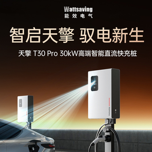 Pro 能效充电桩30kW家用380v直流电车快充T30 新国标3C认证