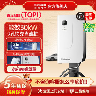 能效380v直流快充充电桩9孔30kW红旗eqm5新能源汽车商用共享HQ30