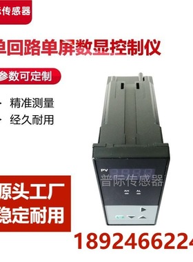 WP-ES403-23-02-P-T数显控制仪 显示报警器WP-ES403-23-02-P-W