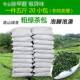 新房装 修去甲醛去异味净化空气茶叶香包5斤新车吸味绿茶包去味包