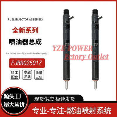 EJBR03001D EJBR02501Z柴油喷油器 33800-4X900 EJBR02501Z