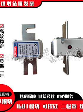 全新现货A070UD30LI63  M300138熔断器/保险丝