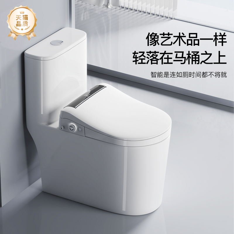 家用即热式智能盖板马桶组合