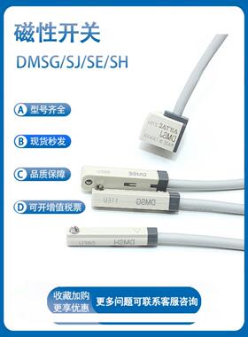 亚德客磁性开关感应器DMSG/DMSJ/DMSH/DMSE-2W/020/030/050传感器