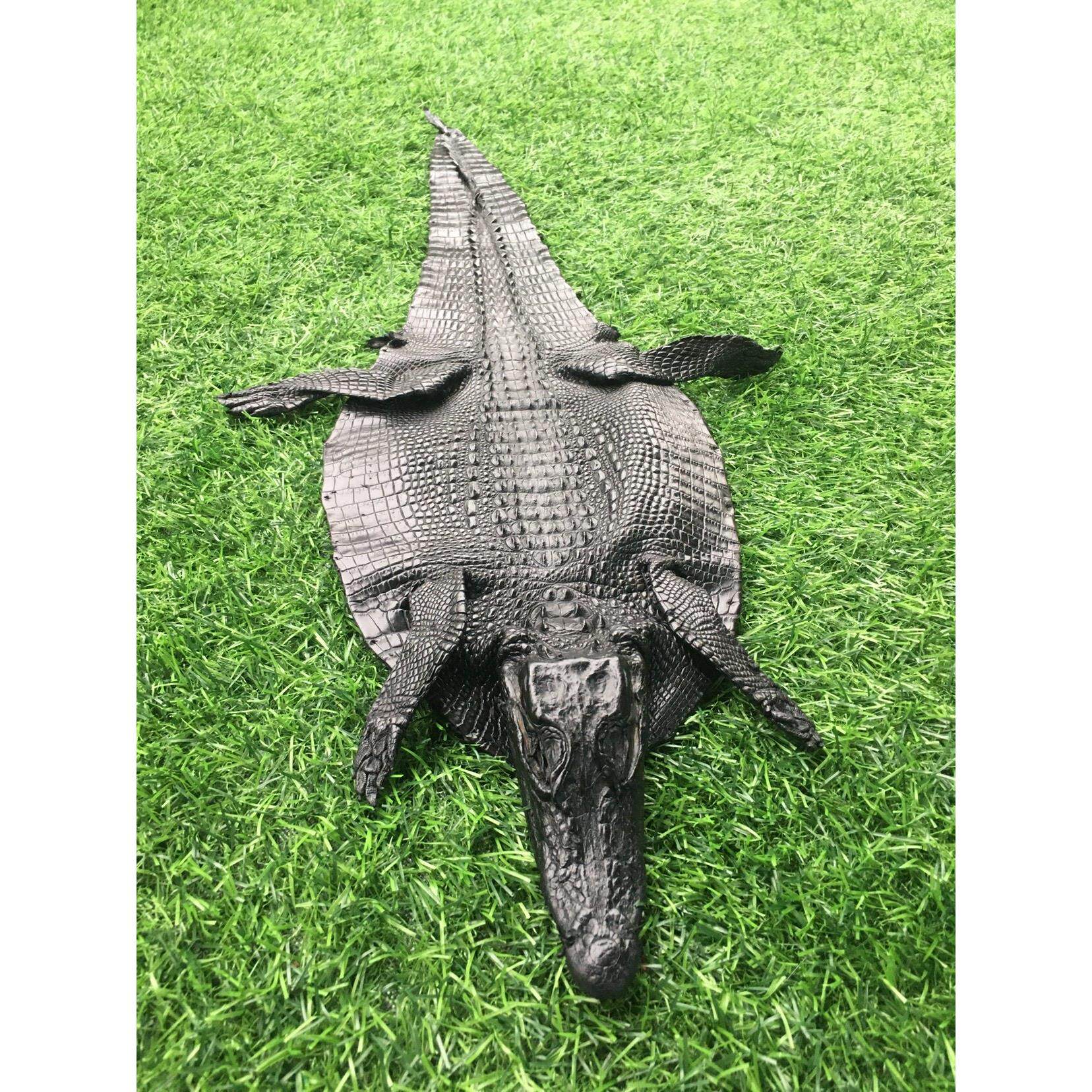 tzp236黑色带头鳄鱼皮标本真皮鞋靴箱包皮具摆件手工DIY皮料面料