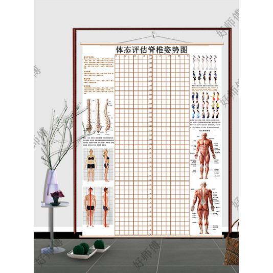 现货体态评估图瑜伽 体姿体态评估系统中医理疗馆脊椎姿势对比图