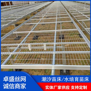 固定移动苗床 热镀锌网片苗床 温室蔬菜大棚苗床 花卉育苗栽培苗