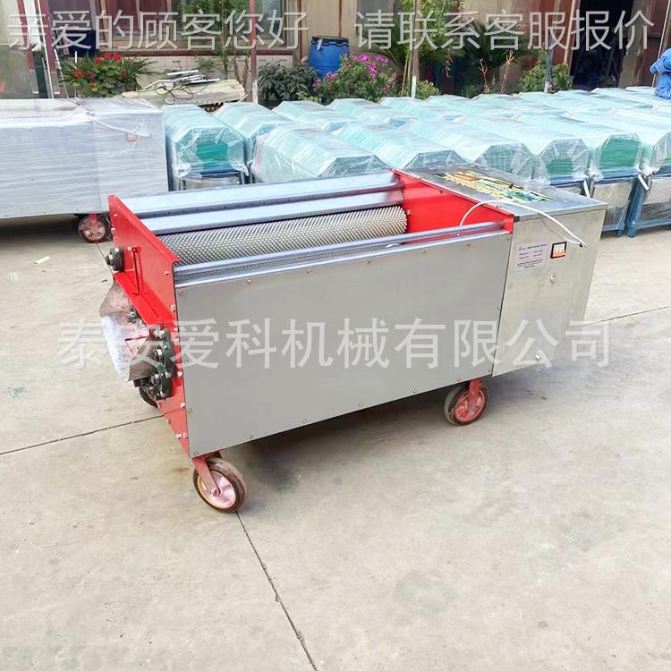 新疆鲜清去洗桃机脱皮机去青皮机纸皮核HXT核桃剥皮机果分壳离皮