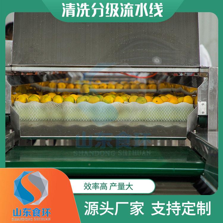 不锈钢水果分桃级荔枝子李子机红8薯分级机全自动核桃检重机