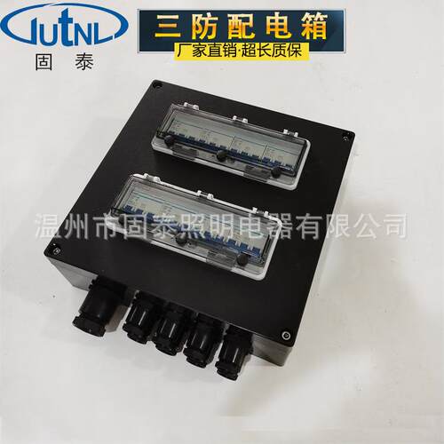 FXM(D)805-防S-6K/32A三防配电FXM（D)8箱防水尘防腐照明配电箱控