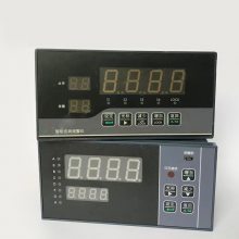 智能巡检报警仪LDDB-312/08上海上润仪表