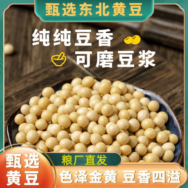 东北黄豆农家自种五谷豆浆豆芽