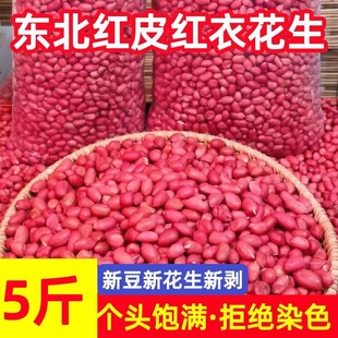 东北新鲜四粒红25年优质四粒红红皮花生米批发中颗粒新去壳红花生