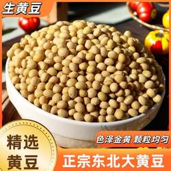 黄豆批发大豆2025东北非转基因农家自种黑龙江大豆生豆芽打豆浆豆