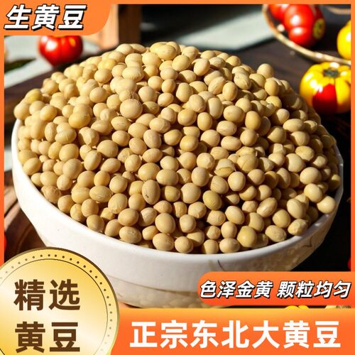 2025东北农家自种非转基因黄豆