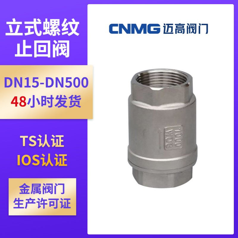 四氟软密封弹簧止回阀H12F-16P不锈钢304201丝扣内螺纹立式止回阀