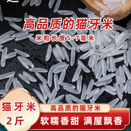 优质农家2024年新米猫牙米长粒米丝苗米炒饭大米1kg小包装2斤特价