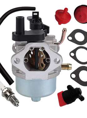 Briggs & Stratton 801396 801233 801255 CCR2450 CCR3650化油器