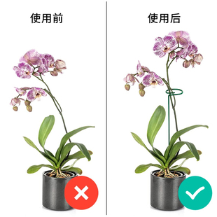 ?植物防倒伏支架铁艺绣球吊兰支撑杆园艺固定架爬藤花卉朱顶红花