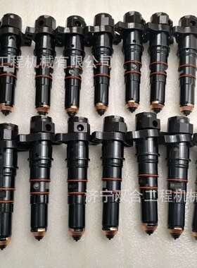 喷油器喷油嘴总成K19PT3076130